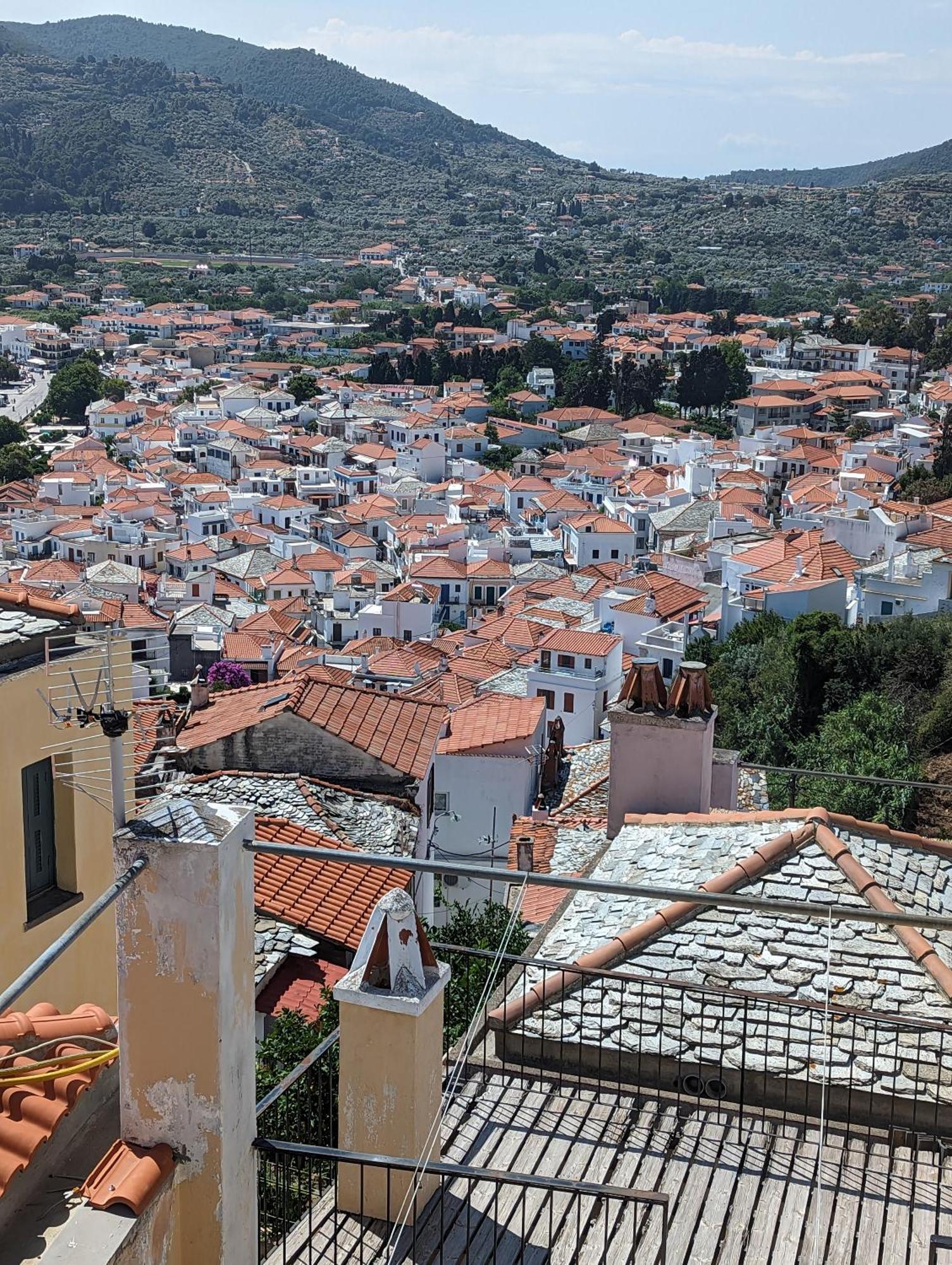 The Botanist Guesthouse Skopelos Extérieur photo