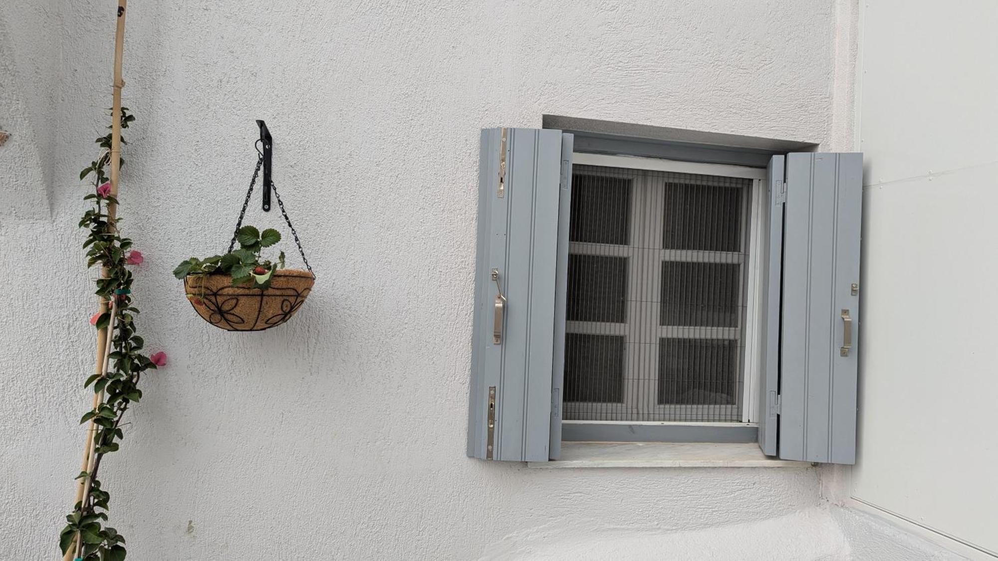 The Botanist Guesthouse Skopelos Extérieur photo