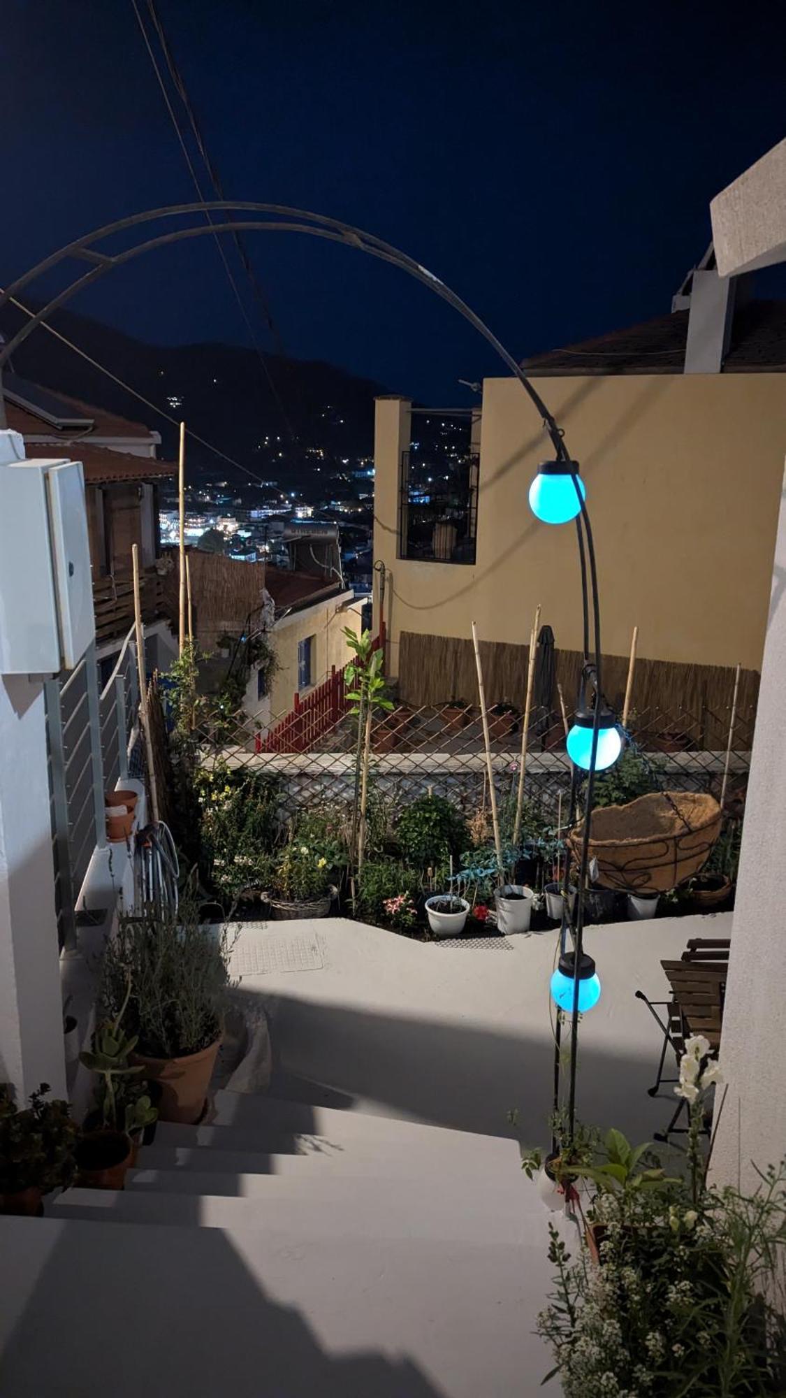 The Botanist Guesthouse Skopelos Extérieur photo