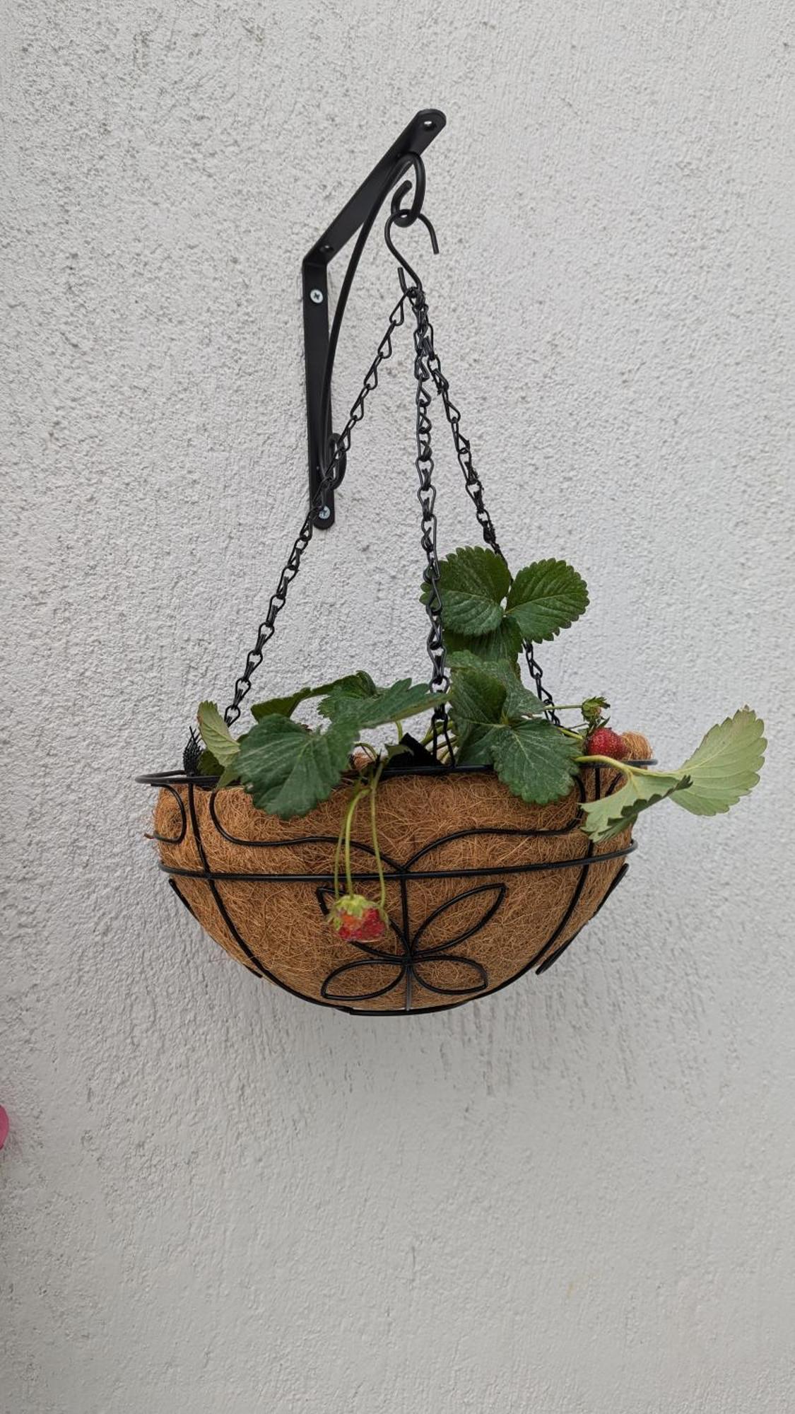 The Botanist Guesthouse Skopelos Extérieur photo