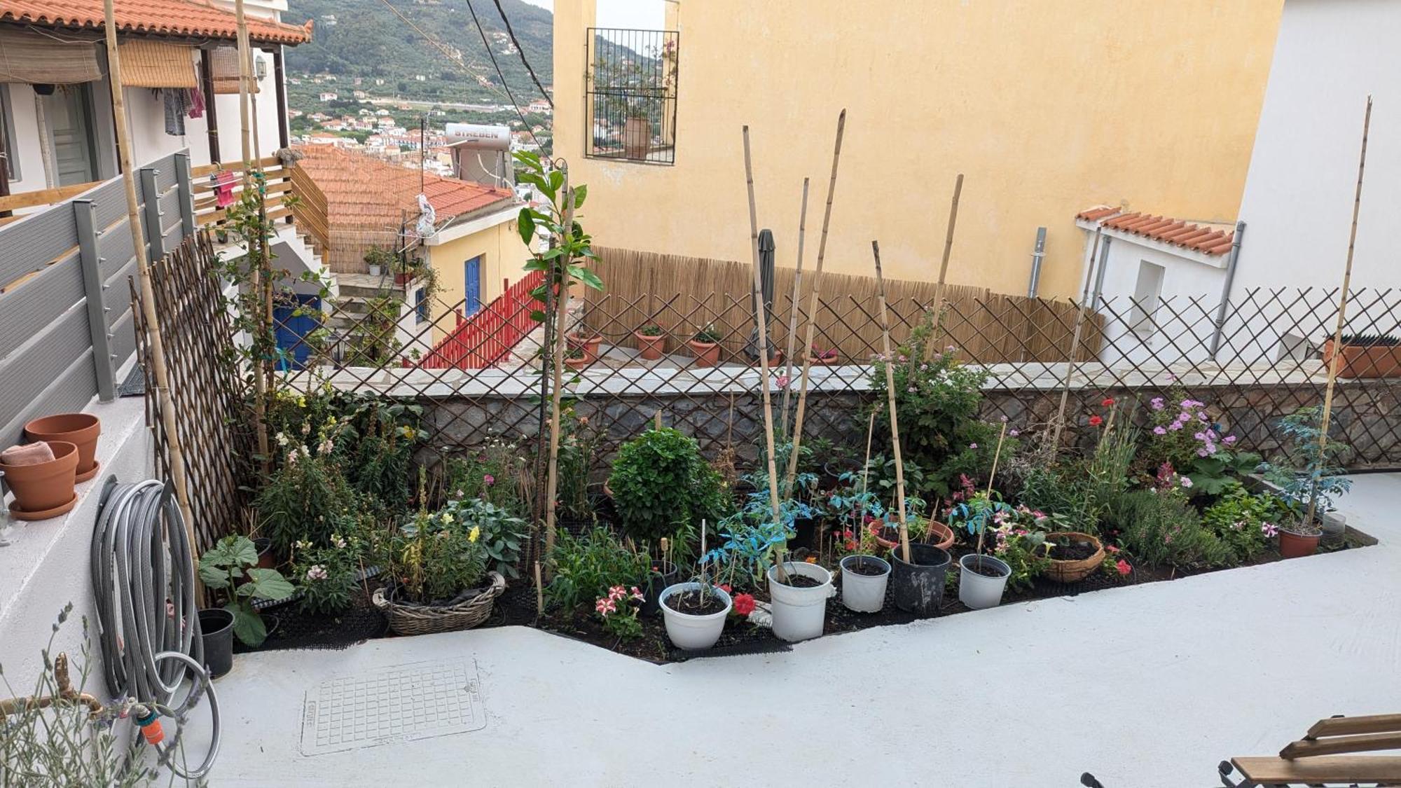The Botanist Guesthouse Skopelos Extérieur photo