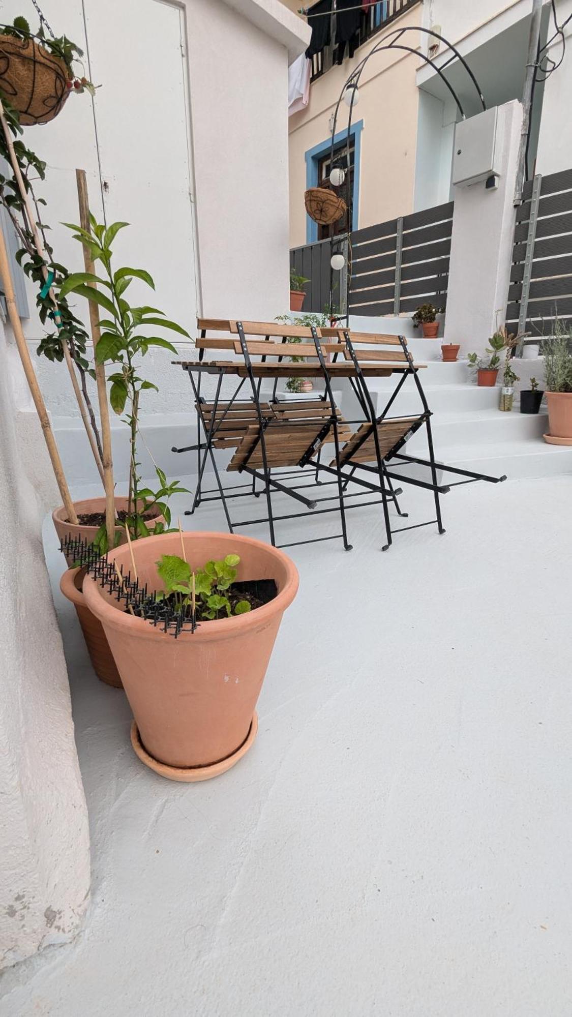 The Botanist Guesthouse Skopelos Extérieur photo